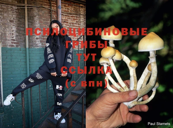 PSILOCYBIN Белоозёрский